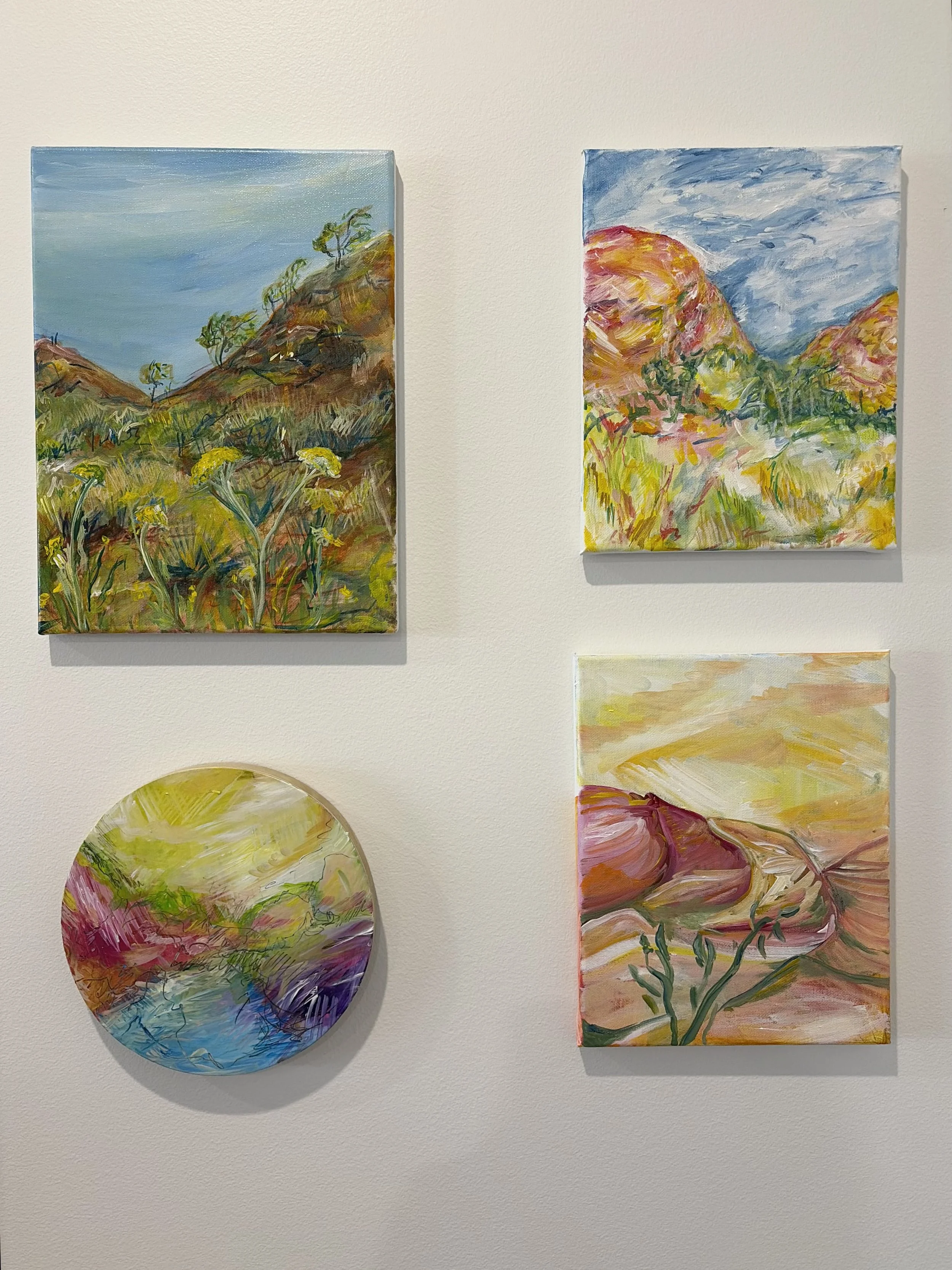 Vignettes of the outback
