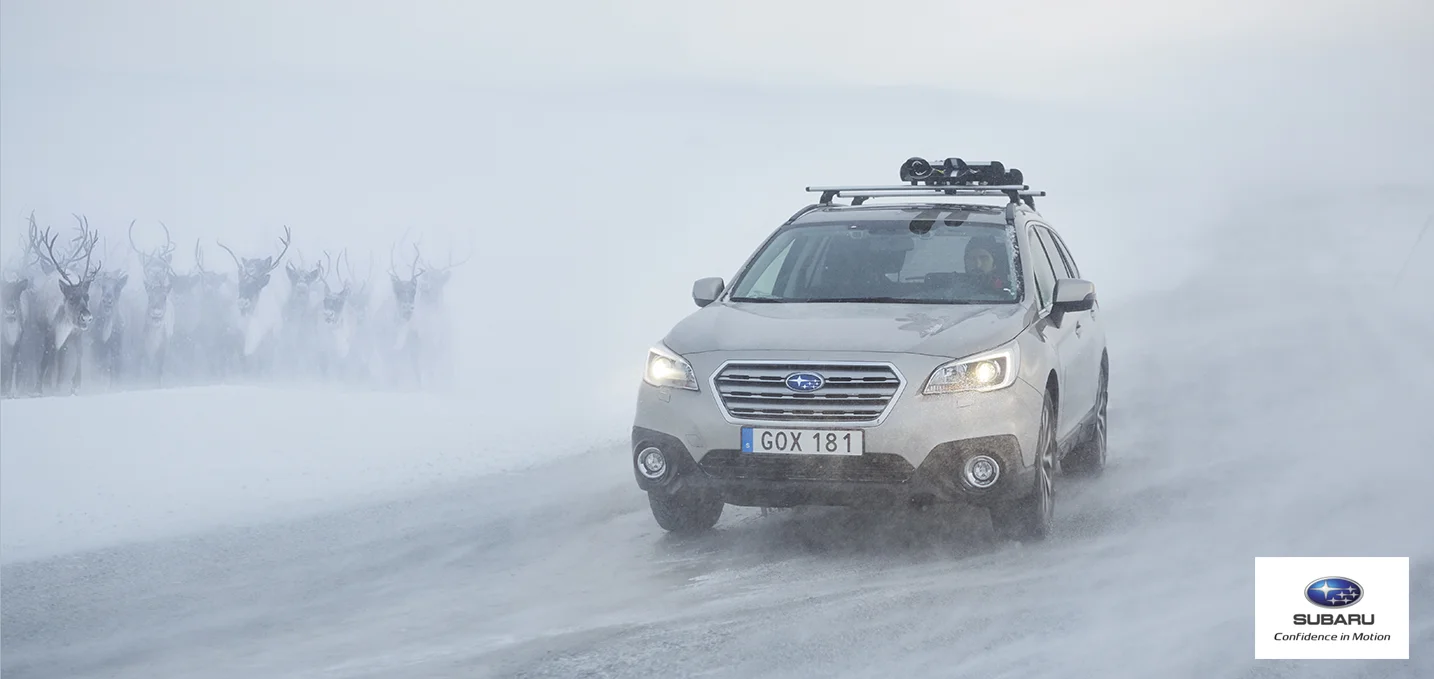 SUBARU OUTBACK