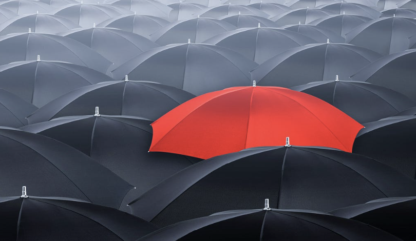 DIFFERENTIATION - VIEW CASE STUDY