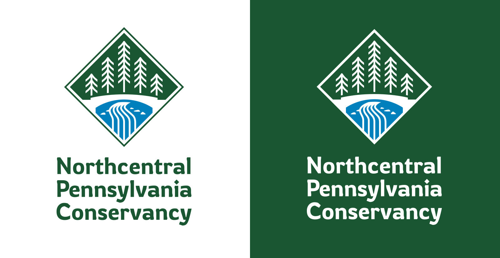 npc-logo-stationery_logo.jpg