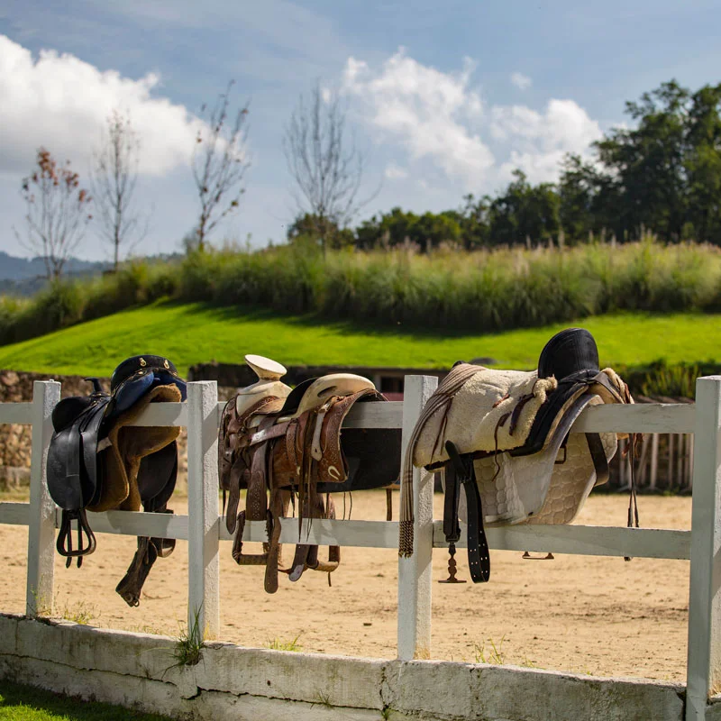 rancho_avandaro003_.jpg