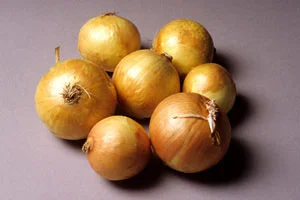 onion-2.jpg