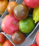 heirloom tomatoes TN.jpg