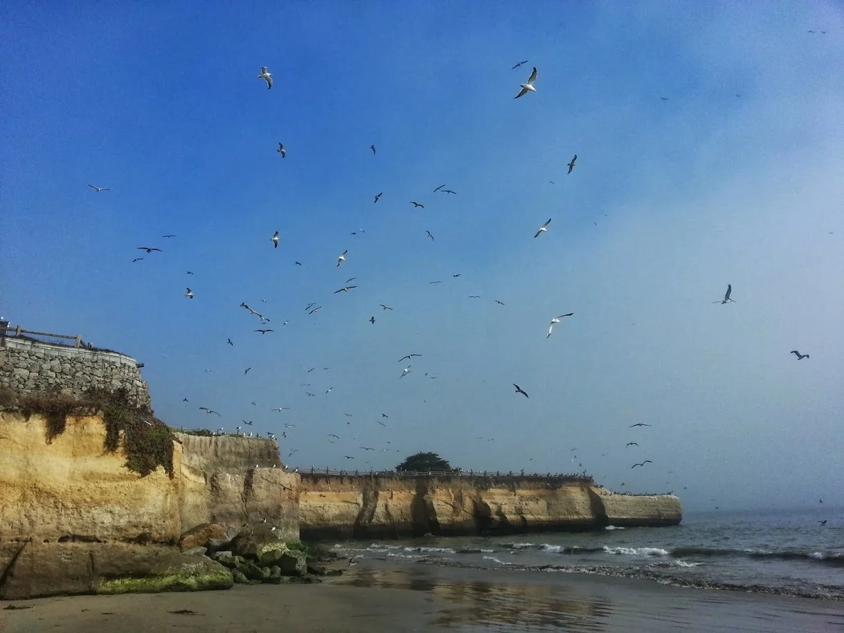 big news IN LITTLE infoDESIGN