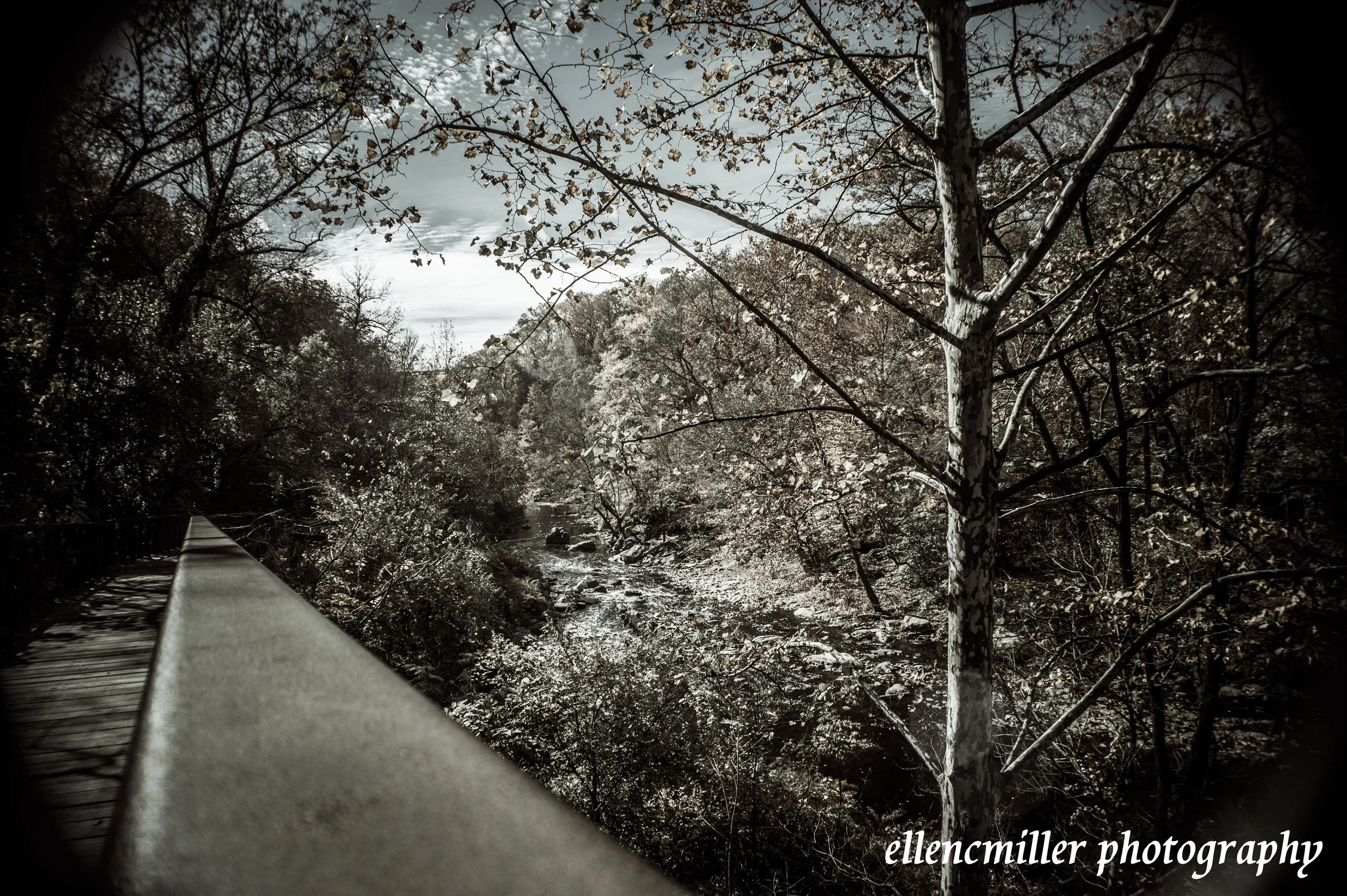 Wissahickon Trail