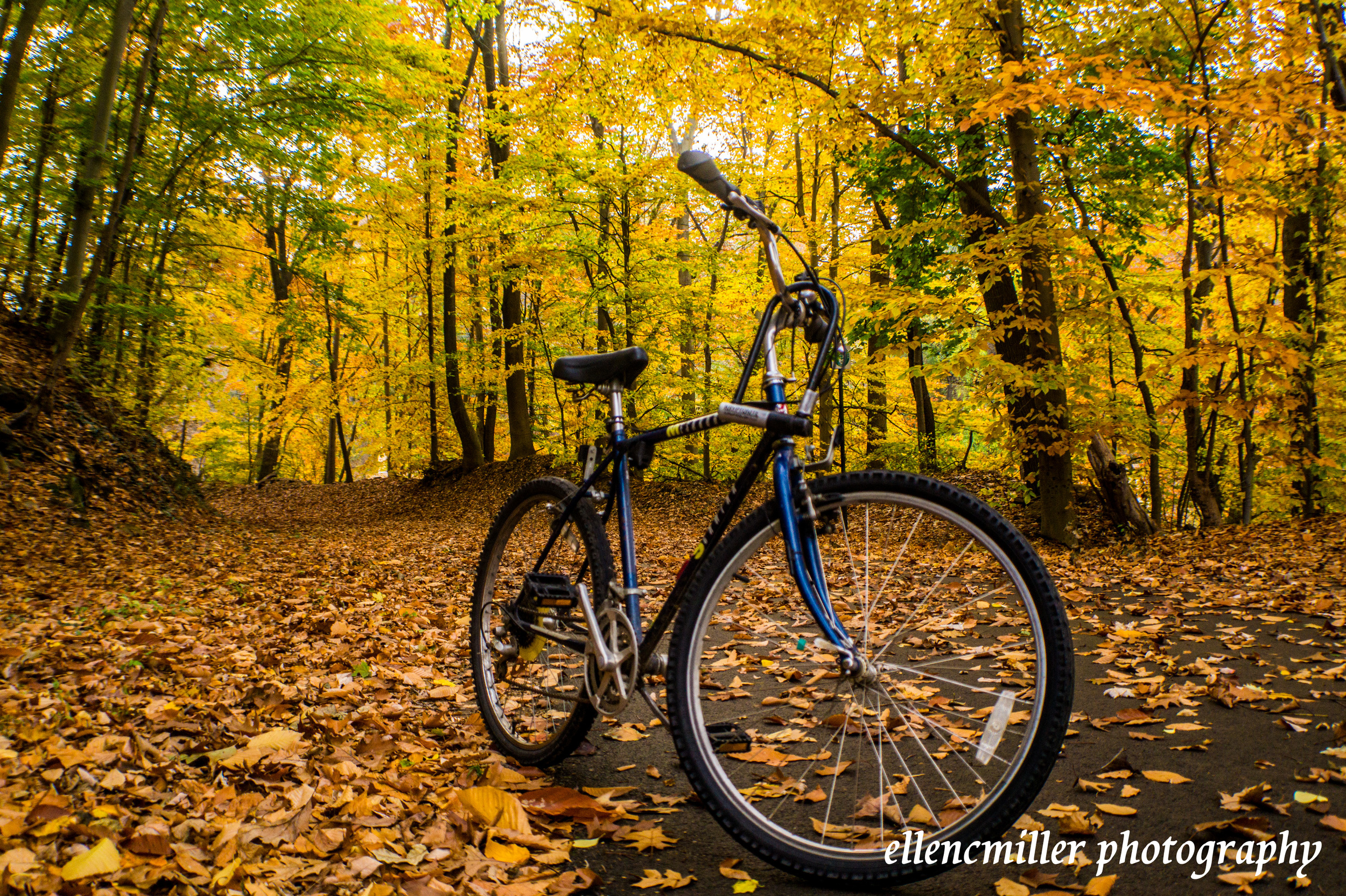 Cynwyd Heritage Trail