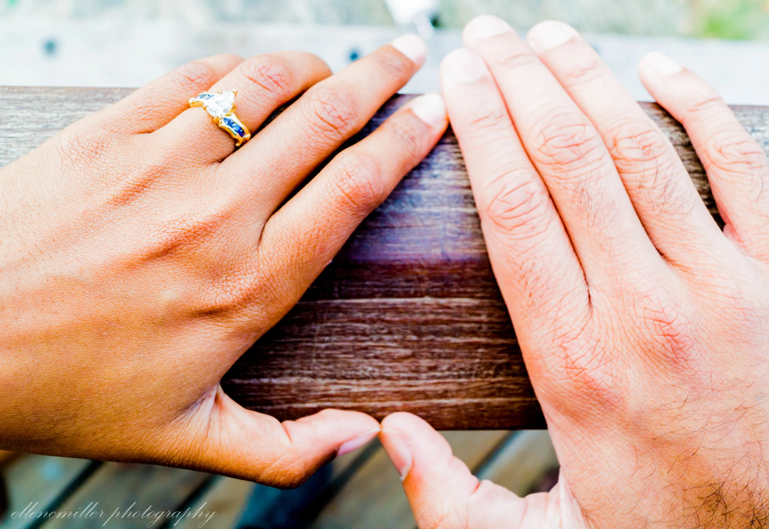Robin & Swetha Proposal