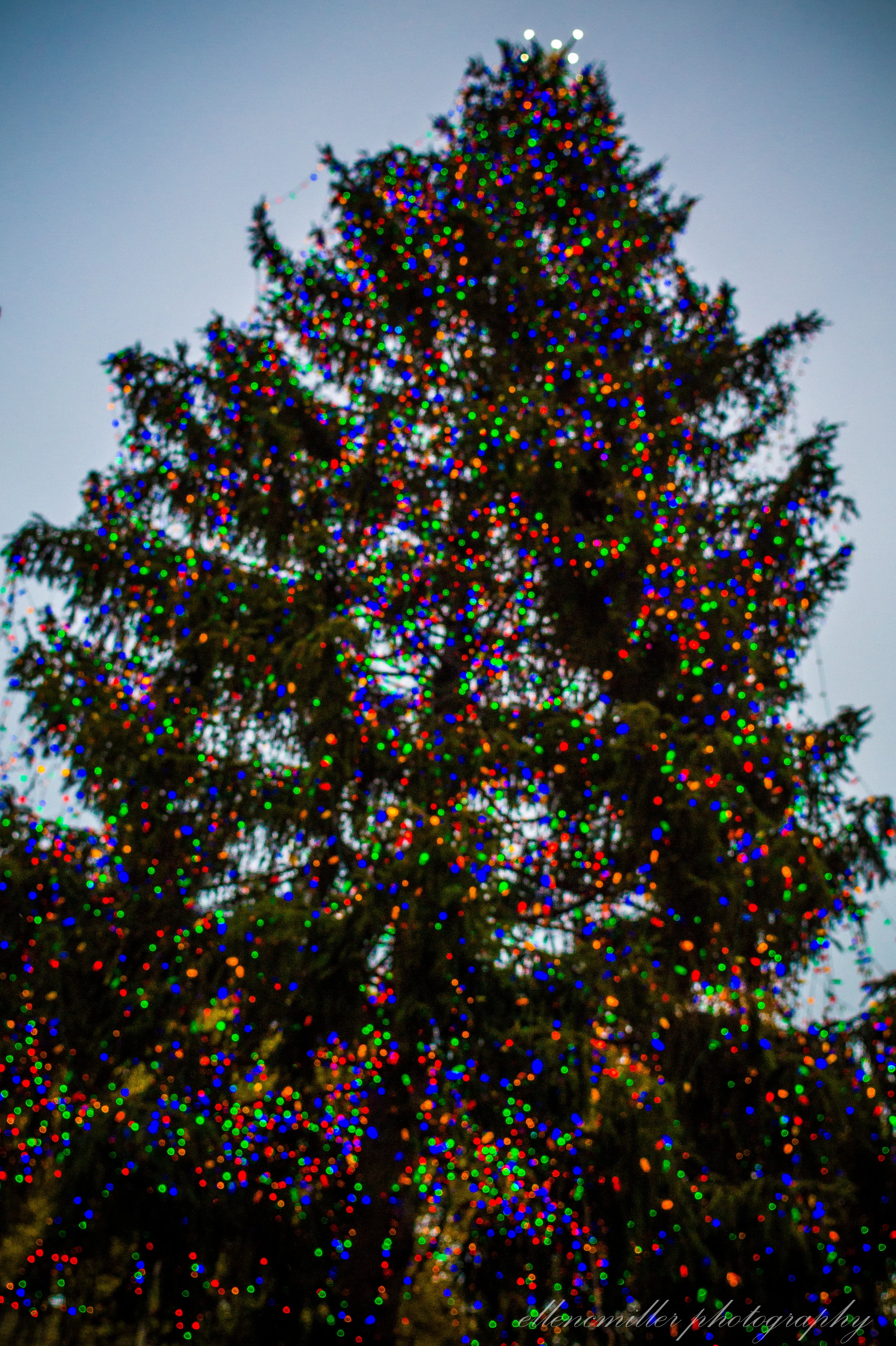 20161210Chicago-10.jpg