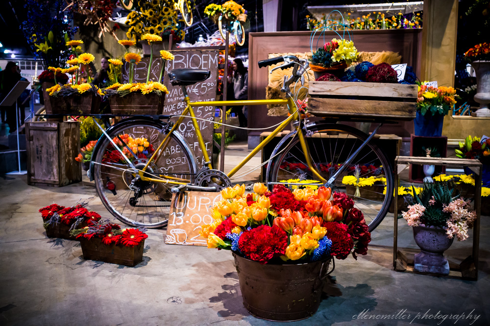 20170313PhilaFlowerShow.jpg
