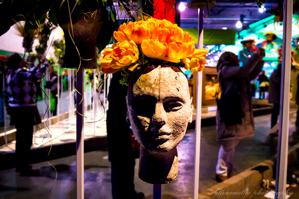 20170313PhilaFlowerShow-4.jpg