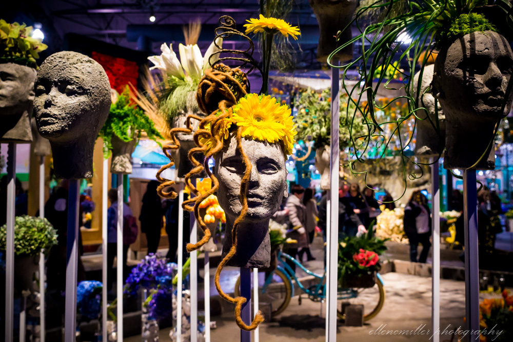 20170313PhilaFlowerShow-5.jpg