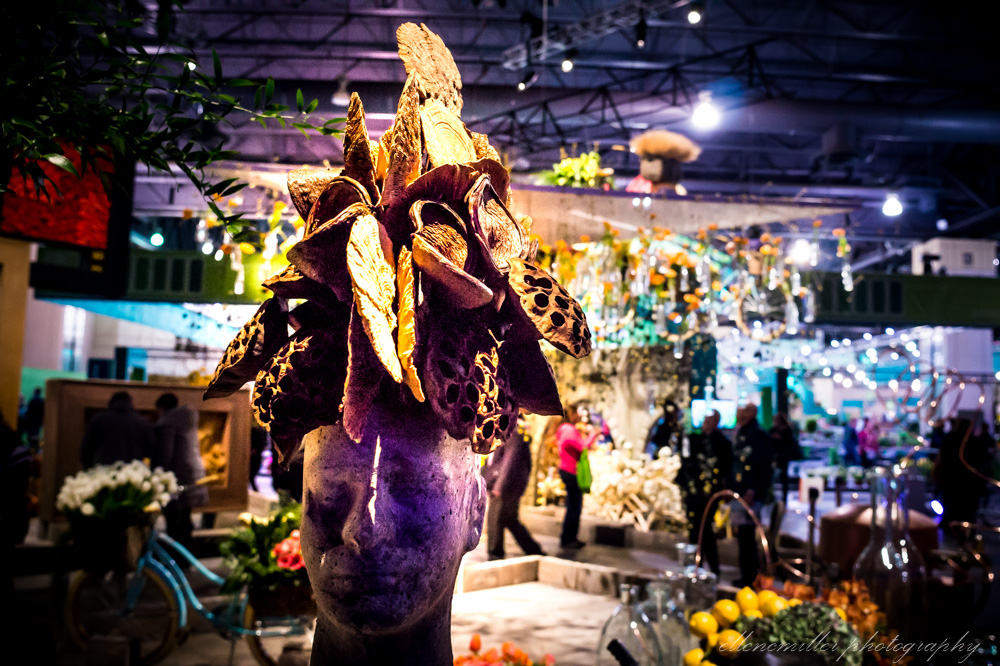 20170313PhilaFlowerShow-6.jpg