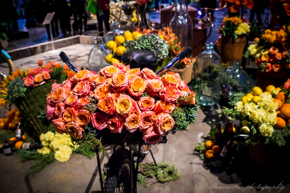 20170313PhilaFlowerShow-7.jpg