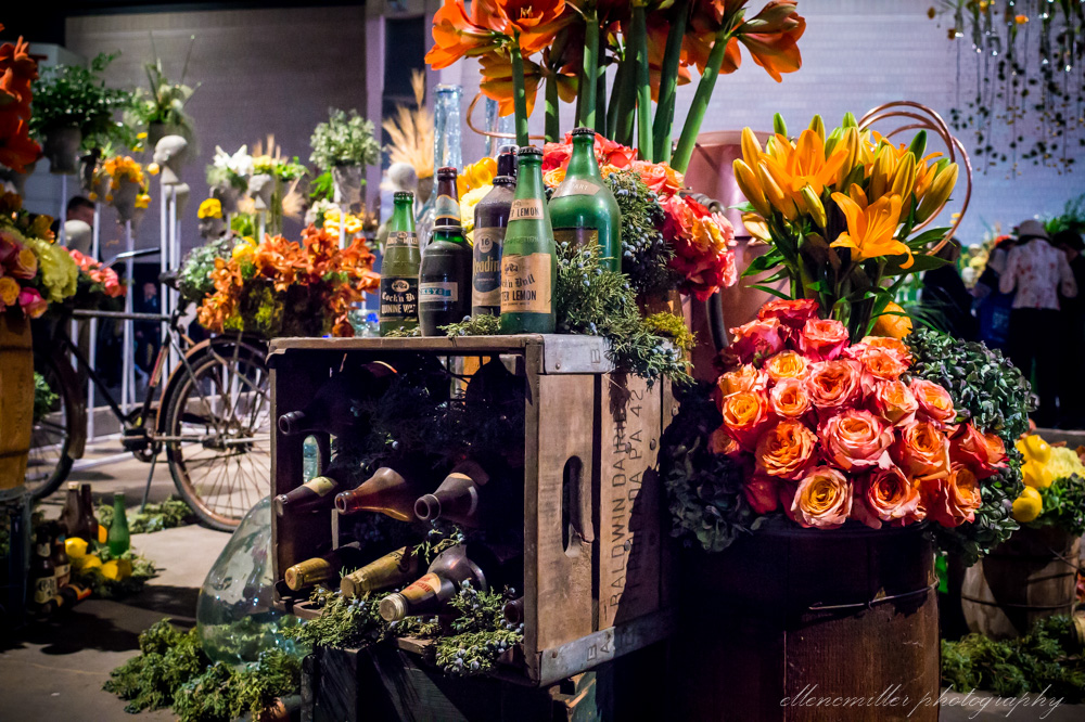 20170313PhilaFlowerShow-9.jpg