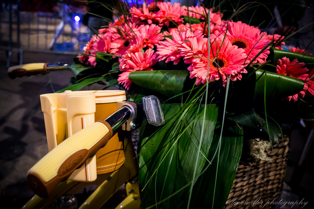 20170313PhilaFlowerShow-18.jpg