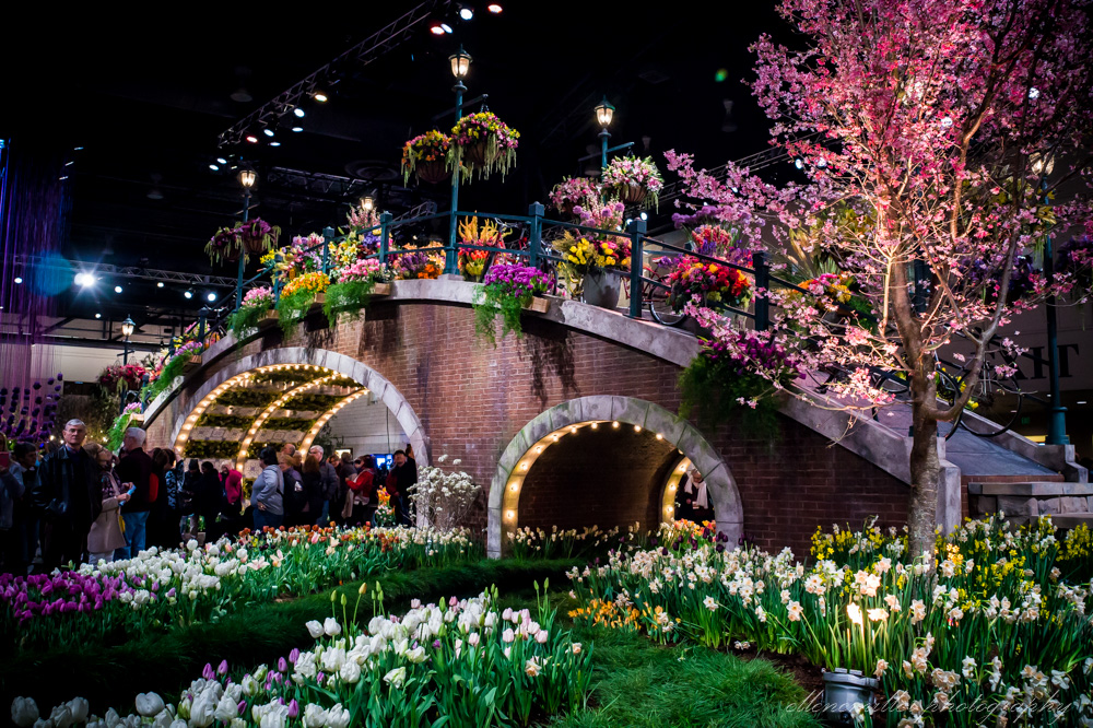 20170313PhilaFlowerShow-19.jpg