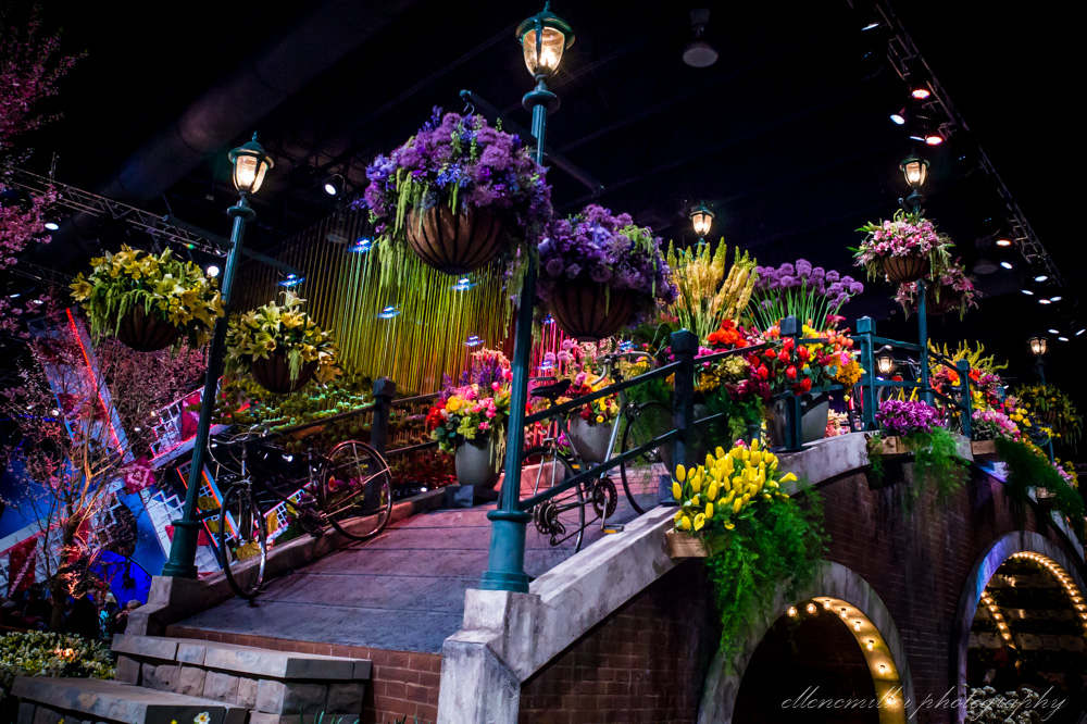 20170313PhilaFlowerShow-21.jpg