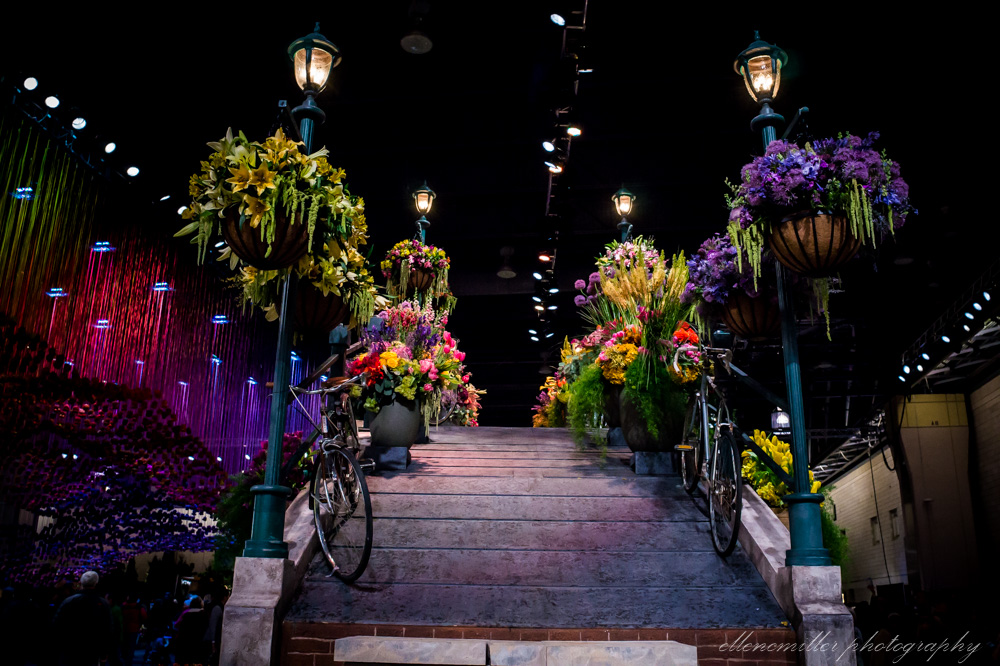 20170313PhilaFlowerShow-20.jpg