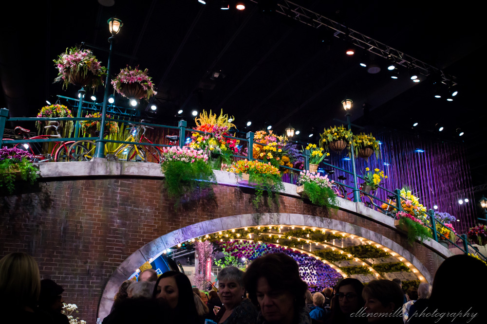 20170313PhilaFlowerShow-28.jpg