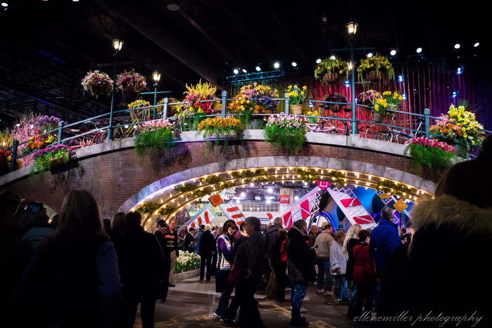 20170313PhilaFlowerShow-32.jpg