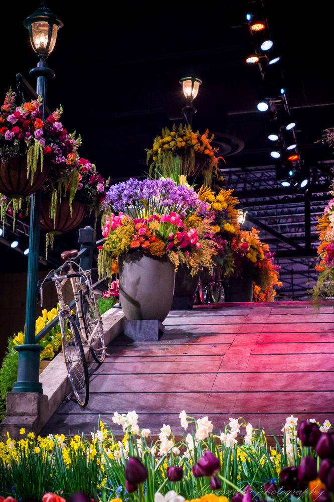 20170313PhilaFlowerShow-48.jpg