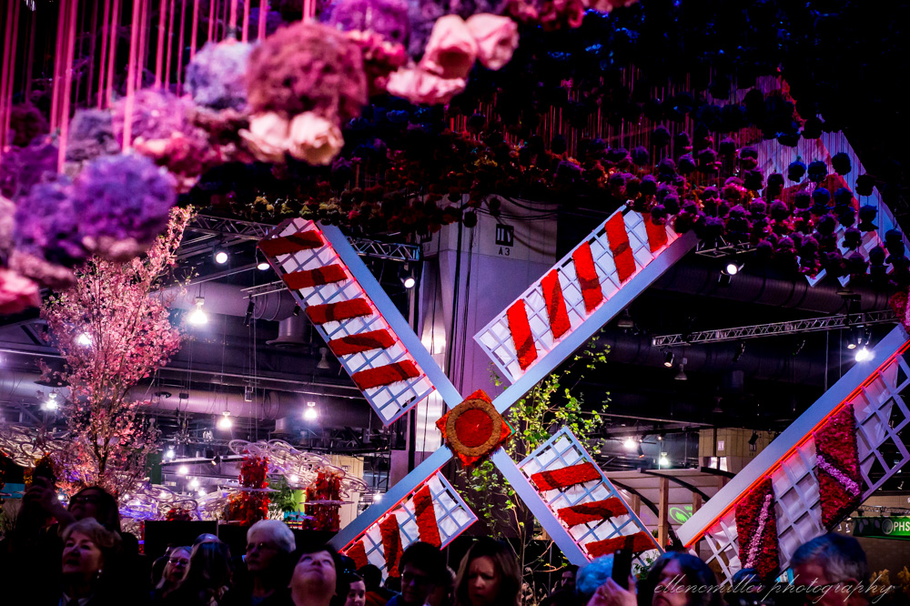 20170313PhilaFlowerShow-52.jpg