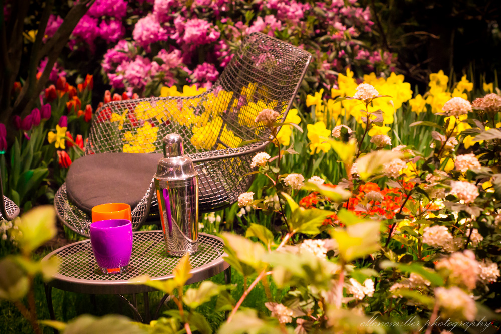 20170313PhilaFlowerShow-56.jpg
