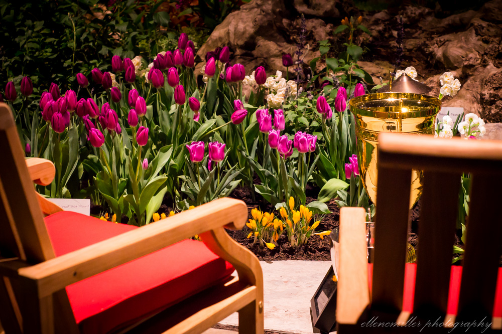 20170313PhilaFlowerShow-64.jpg