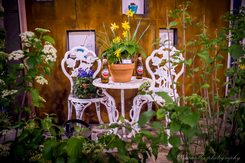 20170313Flower Show-41.jpg