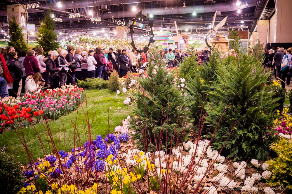 20170313Flower Show-43.jpg