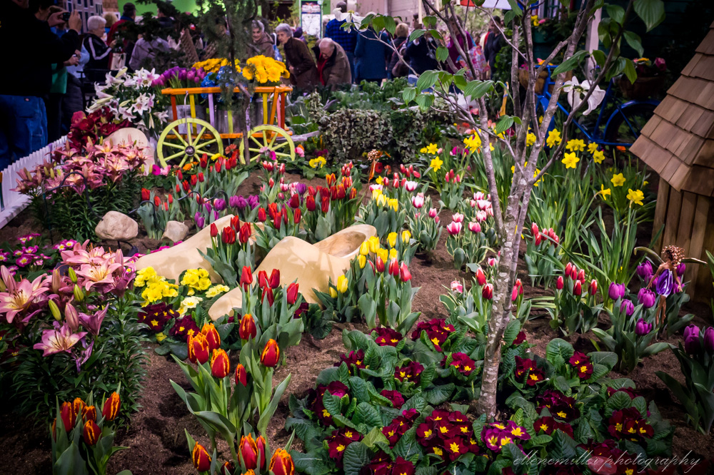 20170313Flower Show-57.jpg