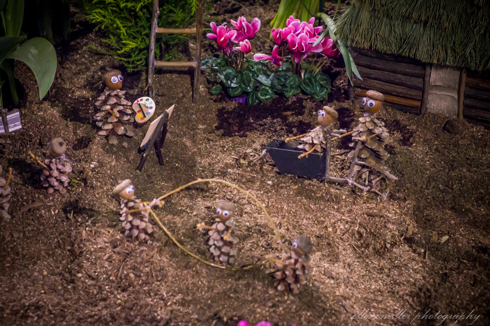 20170313Flower Show-74.jpg