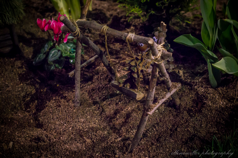 20170313Flower Show-76.jpg