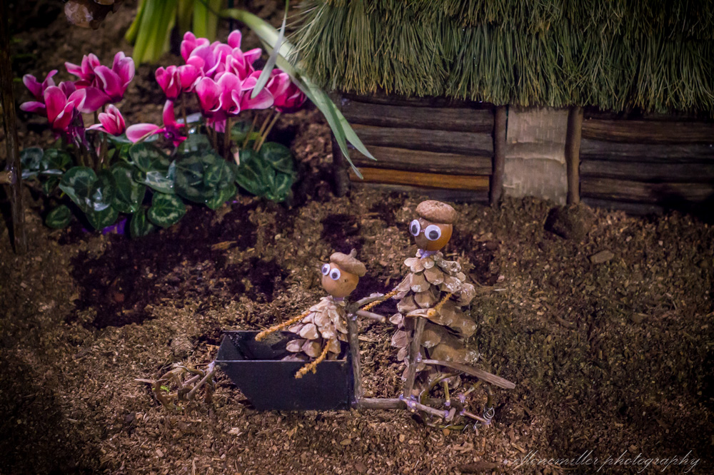 20170313Flower Show-77.jpg