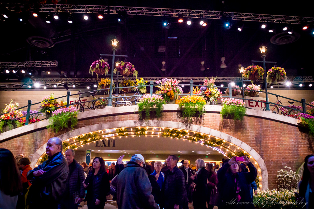 20170313Flower Show-106.jpg