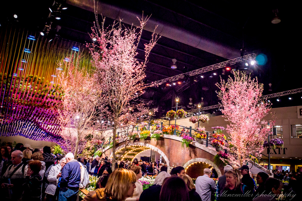 20170313Flower Show-124.jpg