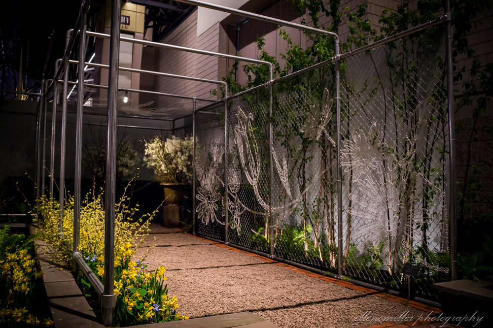 20170313PhilaFlowerShow-81.jpg