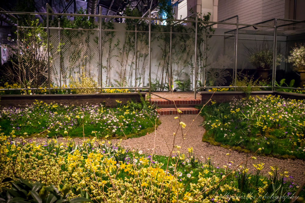 20170313PhilaFlowerShow-85.jpg