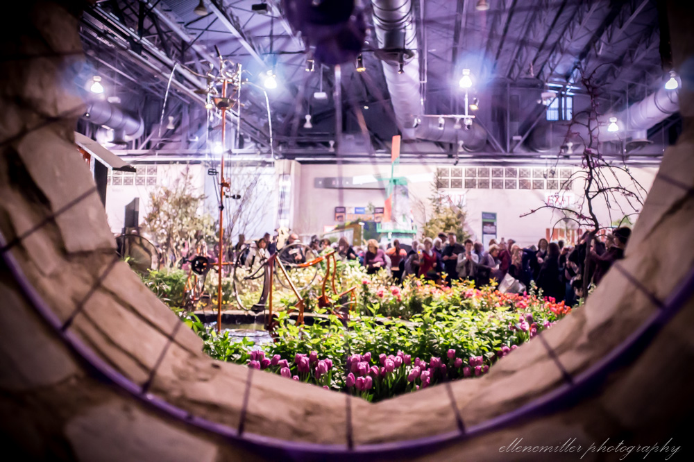 20170313PhilaFlowerShow-110.jpg