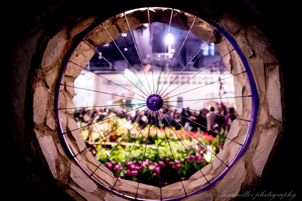 20170313PhilaFlowerShow-109.jpg