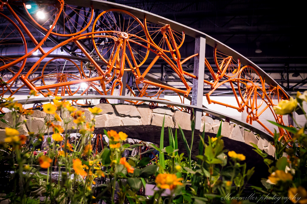 20170313PhilaFlowerShow-124.jpg