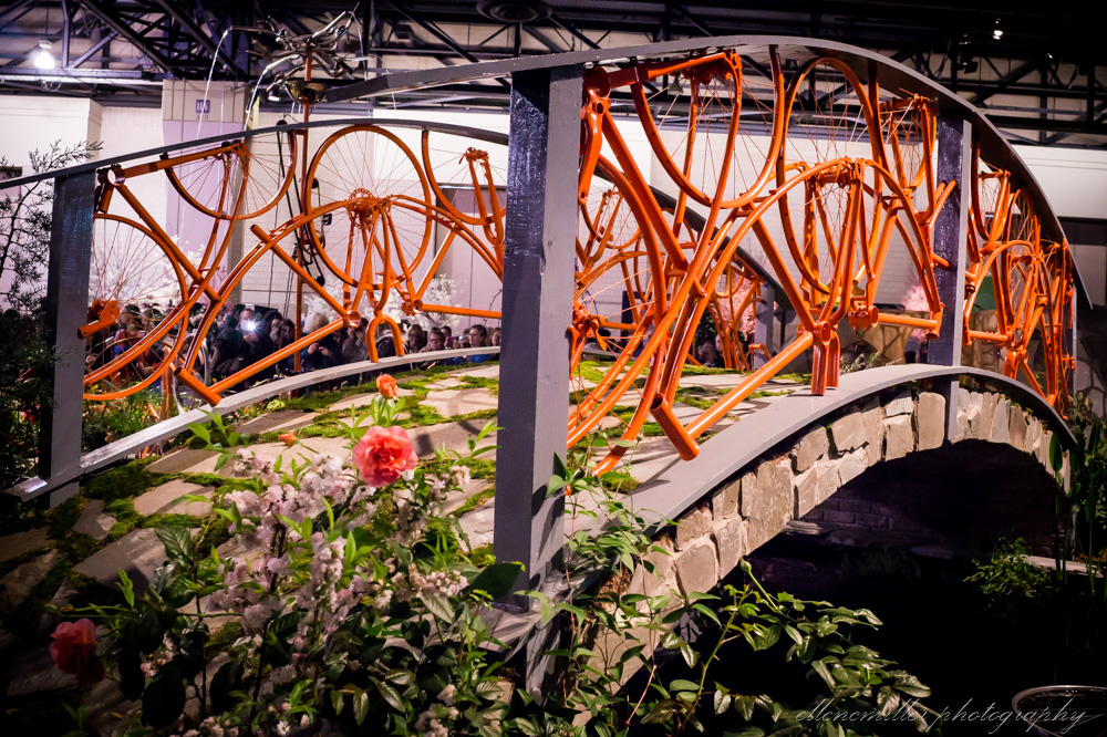20170313PhilaFlowerShow-126.jpg