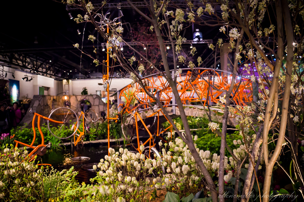 20170313PhilaFlowerShow-133.jpg