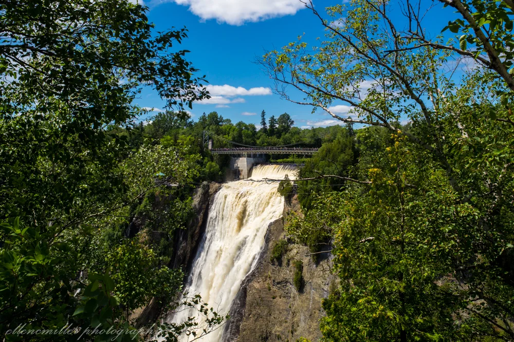 The Falls-26.jpg