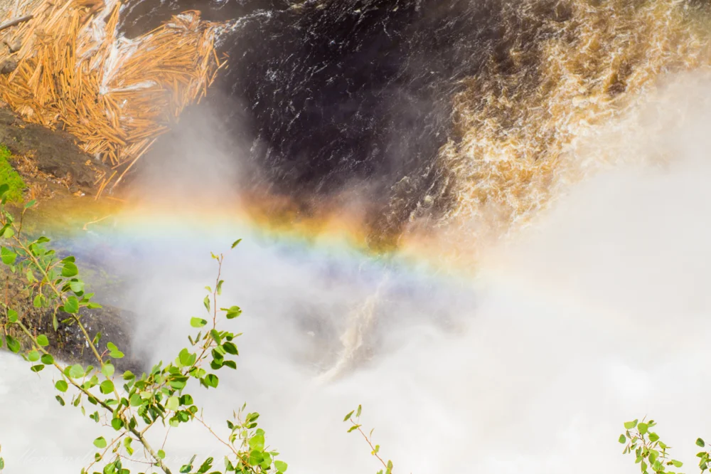 The Falls-16.jpg