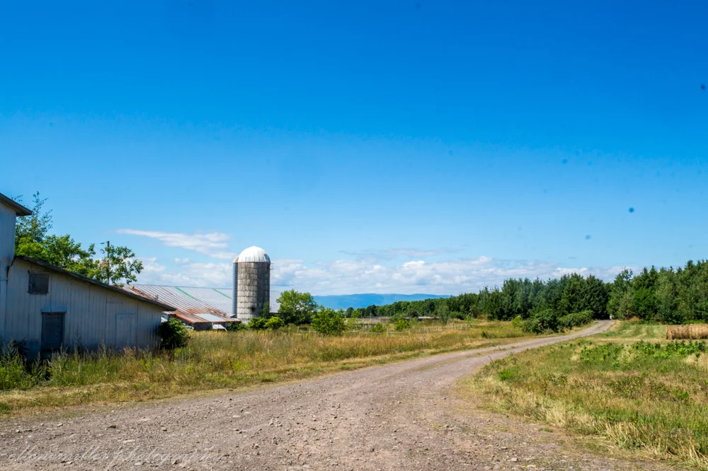 Farmlands surrounding Saint Aubert, QC