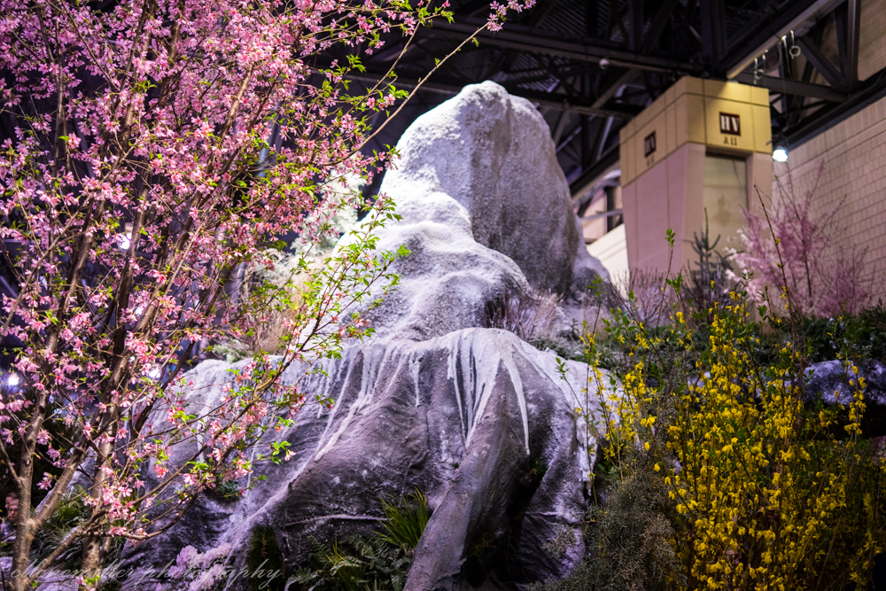 Phila Flower Show-9.jpg