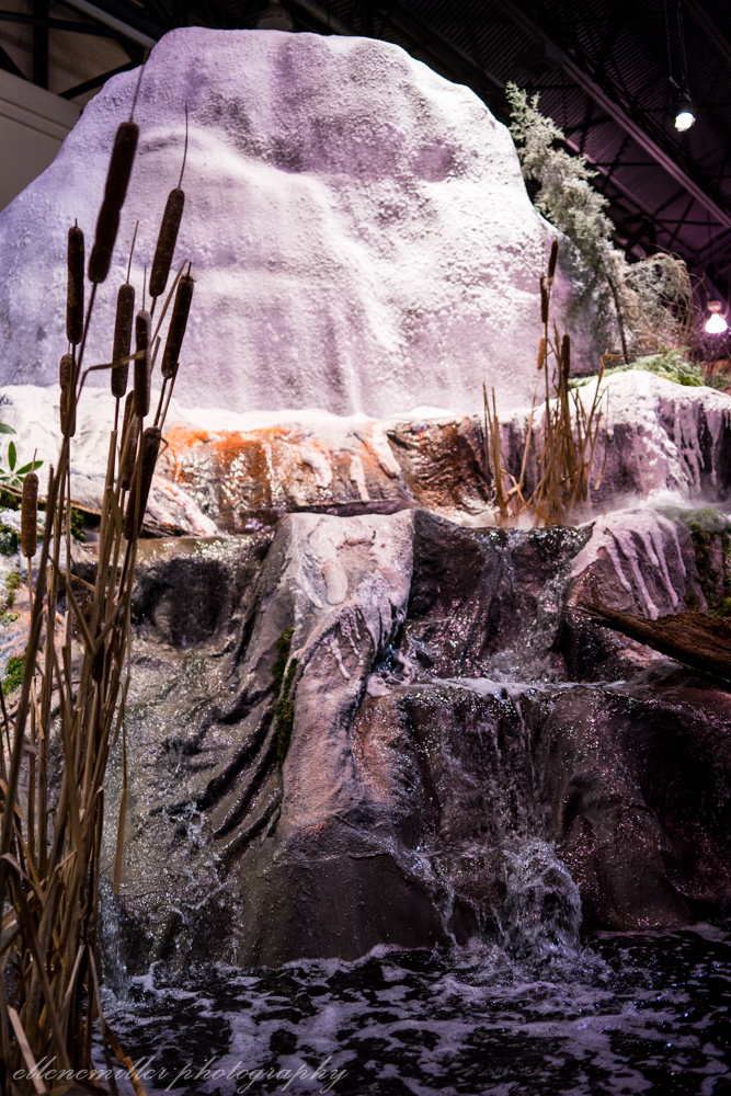 Phila Flower Show-13.jpg