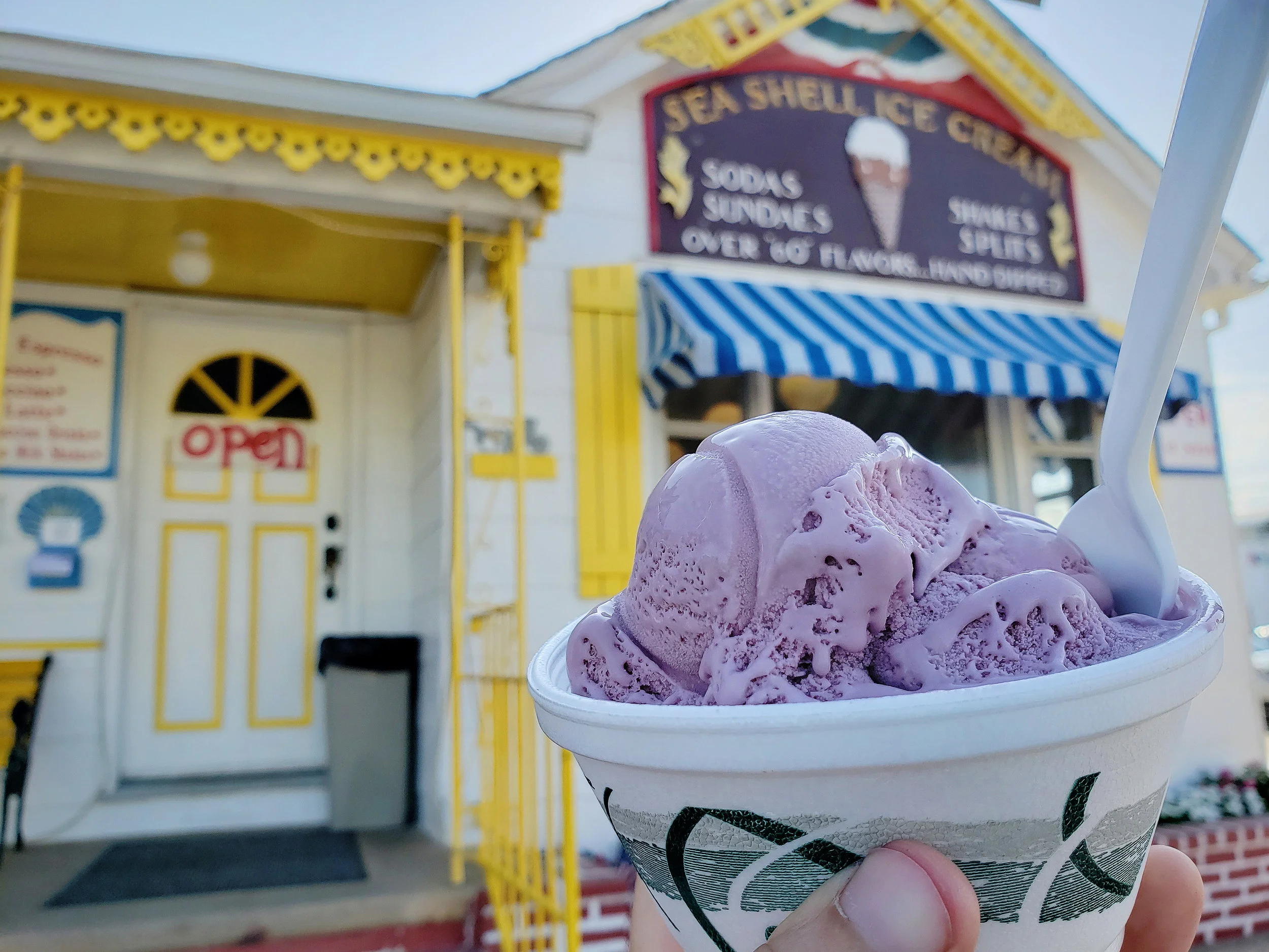 Black Raspberry ice cream / Wildwood, NJ