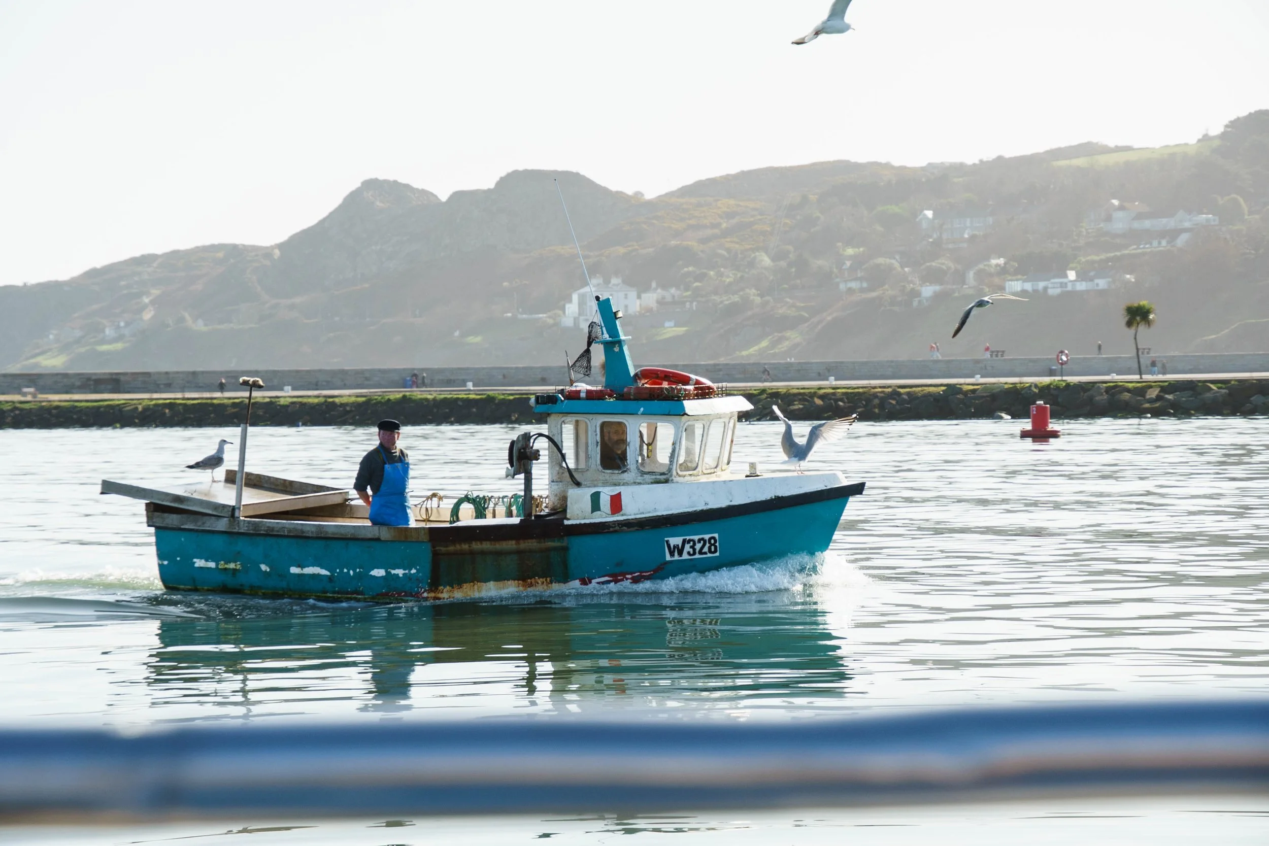 Howth_Ireland 03-26-08597.jpg